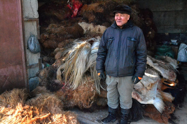 De handel in paardenstaarten